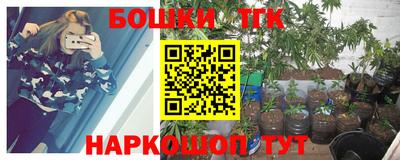 бошки Будённовск