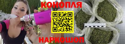 бошки Будённовск