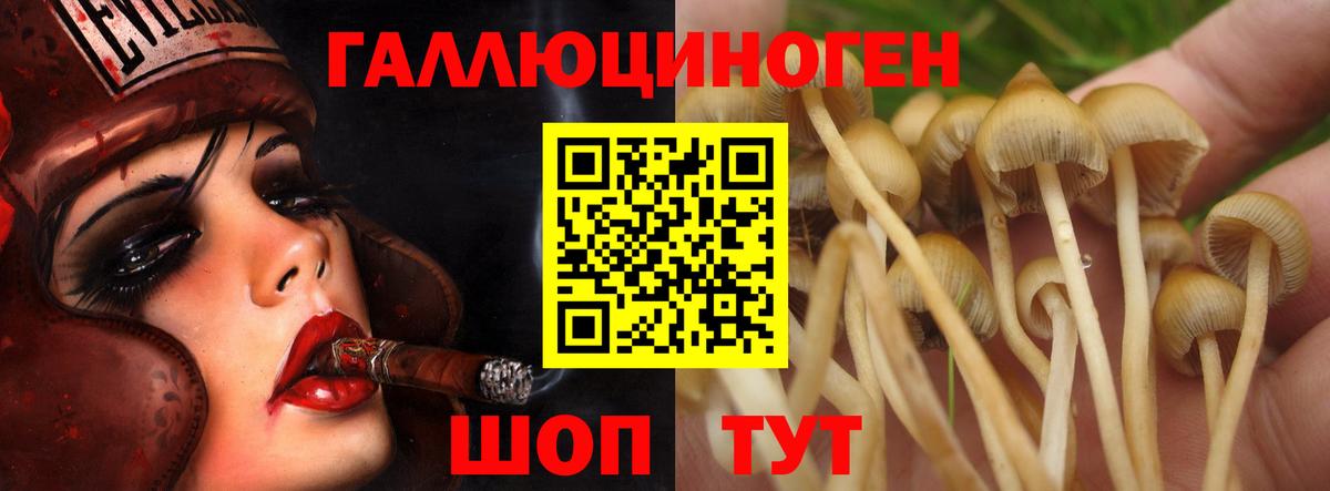 Псилоцибиновые грибы MAGIC MUSHROOMS  Вход с VPN  Чернушка 