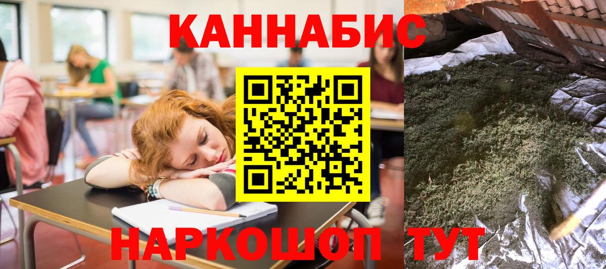 Шишки марихуана сатива Чернушка